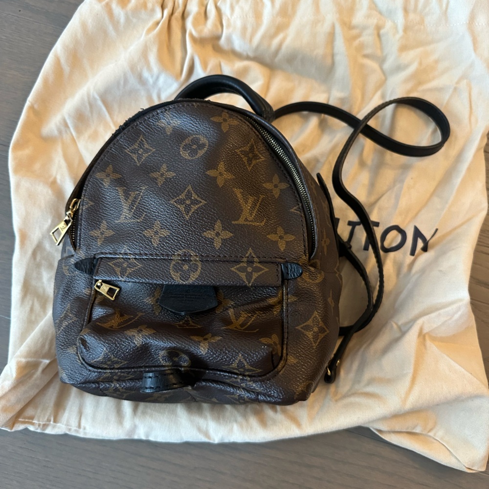 Louis Vuitton backpack